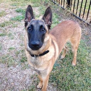 Meet your Posher, J catherine